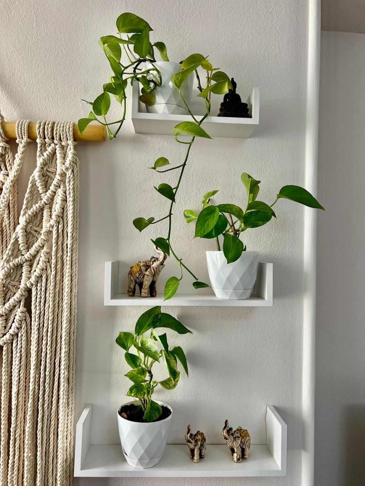 Tirana Center Tourist Apartment ภายนอก รูปภาพ